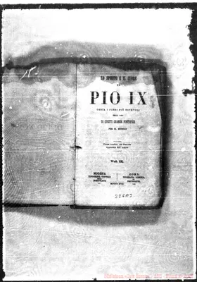 Fotogramma B 3