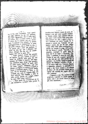 Fotogramma C 1