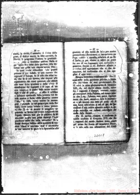 Fotogramma C 8