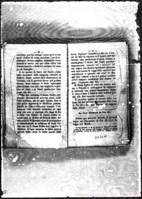 Fotogramma C 11