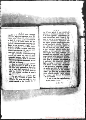 Fotogramma D 2