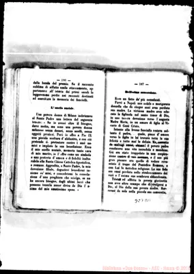 Fotogramma D 11