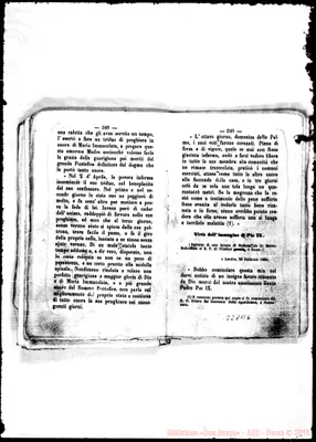 Fotogramma B 6