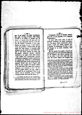 Fotogramma B 11