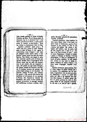Fotogramma B 12
