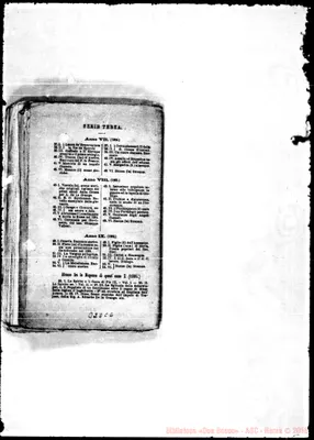 Fotogramma C 6