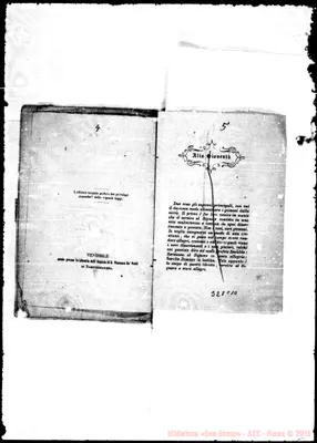 Fotogramma C 10