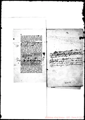 Fotogramma D 3