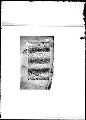 Fotogramma D 7