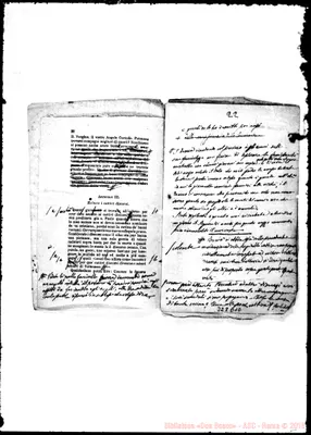 Fotogramma D 10
