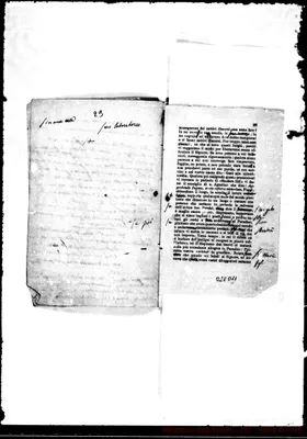 Fotogramma D 11