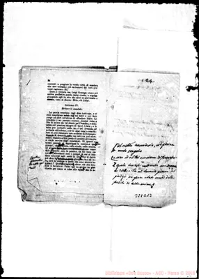 Fotogramma D 12