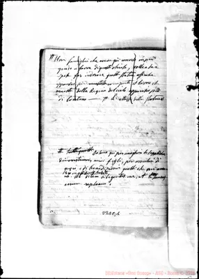 Fotogramma C 1