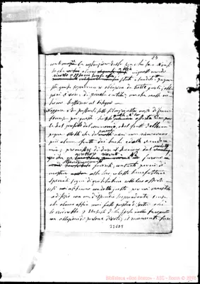Fotogramma D 9