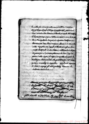Fotogramma C 11