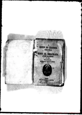 Fotogramma D 2