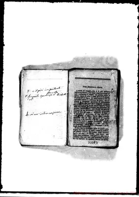 Fotogramma D 3