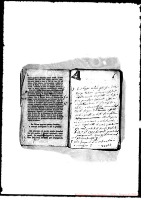 Fotogramma D 4
