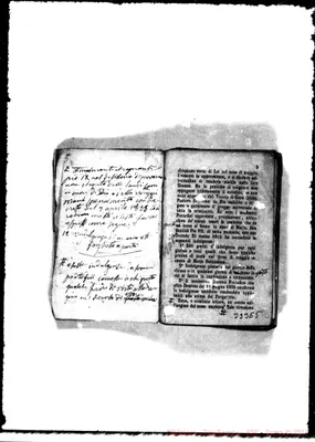 Fotogramma D 5