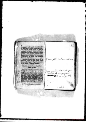 Fotogramma D 6