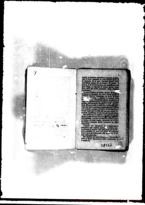 Fotogramma D 7