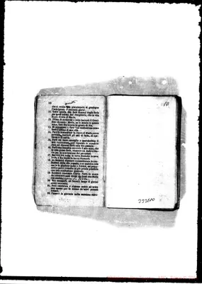 Fotogramma D 10