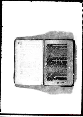 Fotogramma D 11