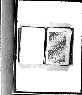Fotogramma D 1