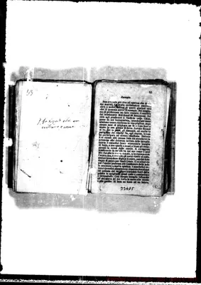 Fotogramma D 5