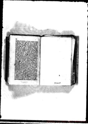 Fotogramma D 6