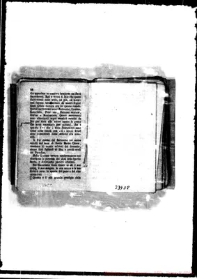 Fotogramma D 8