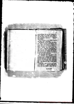 Fotogramma D 9