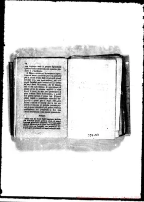 Fotogramma D 10