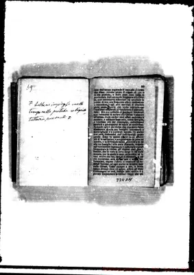 Fotogramma D 11