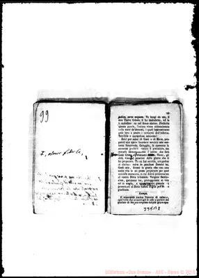 Fotogramma B 8
