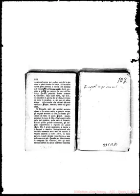Fotogramma B 10