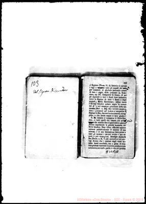Fotogramma B 11