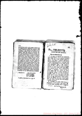 Fotogramma C 4