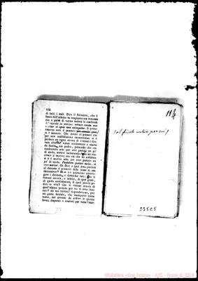 Fotogramma C 5