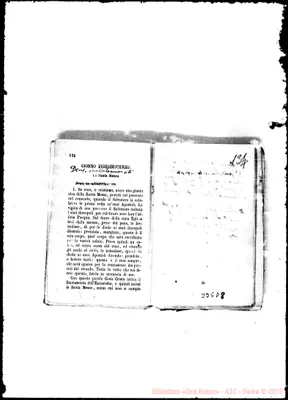 Fotogramma D 8