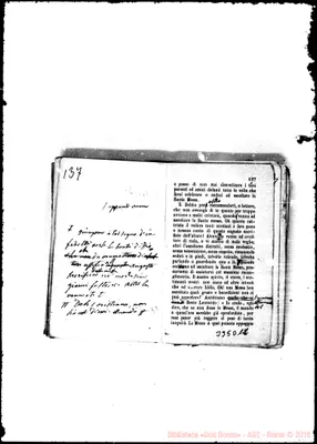 Fotogramma D 11