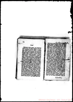 Fotogramma B 3