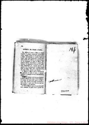 Fotogramma B 10
