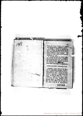 Fotogramma B 11
