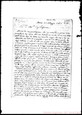 Fotogramma C 7