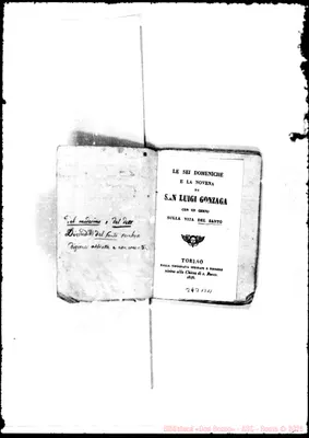 Fotogramma B 11