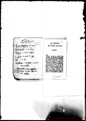 Fotogramma B 12