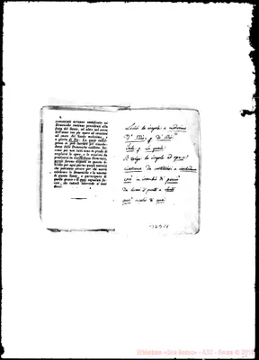 Fotogramma C 1