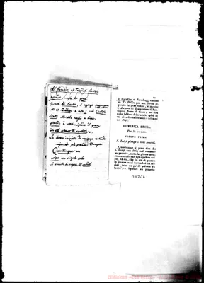Fotogramma C 6