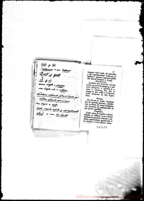 Fotogramma C 8